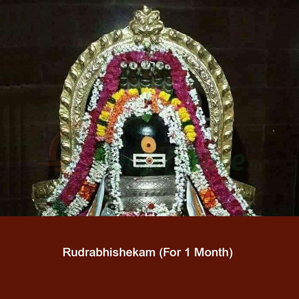Rudrabhishekam (For 1 Month)